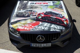 Fans at Misano

