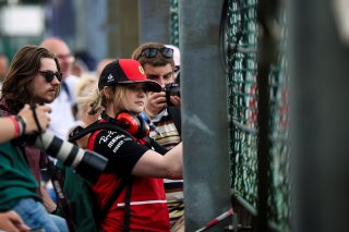Fans