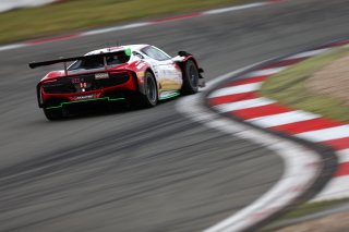 #333 - Frikadelli Racing - Klaus ABBELEN - Felipe FERNANDEZ LASER - David PEREL - Ferrari 296 GT3 