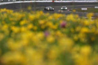 #22 - Schumacher CLRT - Dorian BOCCOLACCI - Ayhancan GUVEN - Laurin HEINRICH - Porsche 911 GT3 R (992) 