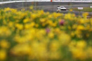 #25 - Sainteloc Racing - Paul EVRARD - Gilles MAGNUS - Jim PLA - Audi R8 LMS GT3 EVO II 