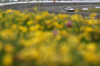 #26 - Sainteloc Racing - Alban VARUTTI - Ugo DE WILDE - Michael BLANCHEMAIN - Audi R8 LMS GT3 EVO II 