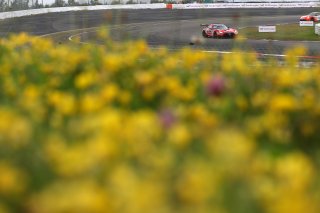 #3 � GetSpeed - Anthony BARTONE - James KELL - Yannick METTLER - Mercedes-AMG GT3 EVO 