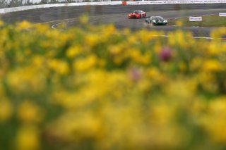 #72 - Barwell Motorsport - Gabriel RINDONE - Casper STEVENSON - Patrick KUJALA - Lamborghini Huracan GT3 EVO2 