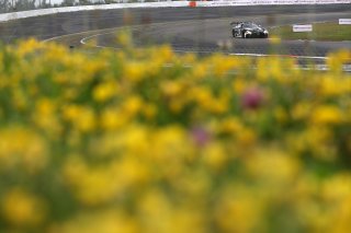 #77 - Haupt Racing Team - Arjun MAINI - Jusuf OWEGA - Michele BERETTA - Mercedes-AMG GT3 EVO 