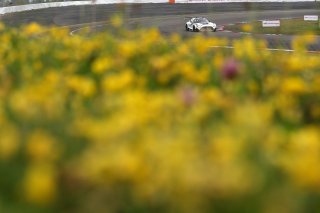 #777 - AlManar Racing by GetSpeed - Al Faisal AL ZUBAIR - Dominik BAUMANN - Mikael GRENIER - Philip ELLIS - Mercedes-AMG GT3 EVO 