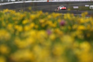 #80 - Lionspeed GP - Patrick KOLB - Bastian BUUS - Michael VERHAGEN - Porsche 911 GT3 R (992) 