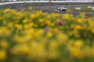 #90 - Madpanda Motorsport - Ezequiel PEREZ COMPANC - Patrick ASSENHEIMER - Tom KALENDER - Mercedes-AMG GT3 EVO 