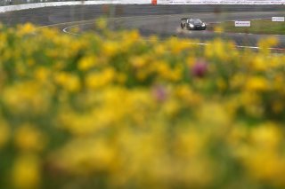 #99 - Tresor Attempto Racing - Ricardo FELLER - Christopher HAASE - Alex AKA - Audi R8 LMS GT3 EVO II 