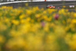 #991 - Century Motorsport - Darren LEUNG - Toby SOWERY - Jake DENNIS - BMW M4 GT3 