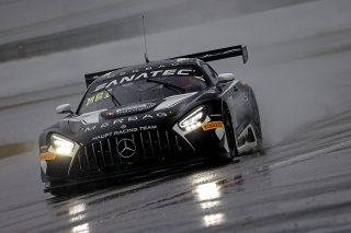 #77 - Haupt Racing Team - Arjun MAINI - Jusuf OWEGA - Michele BERETTA - Mercedes-AMG GT3 EVO 