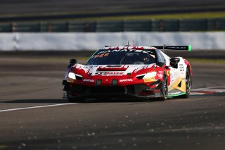 #333 - Frikadelli Racing - Klaus ABBELEN - Felipe FERNANDEZ LASER - David PEREL - Ferrari 296 GT3 