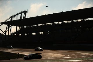 #88 - Tresor Attempto Racing - Lorenzo FERRARI - Lorenzo PATRESE - Leonardo MONCINI - Audi R8 LMS GT3 EVO 2 