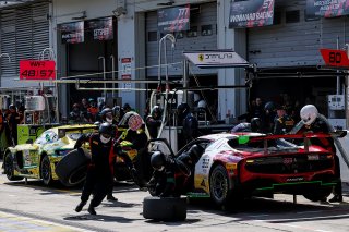 #333 - Frikadelli Racing - Klaus ABBELEN - Felipe FERNANDEZ LASER - David PEREL - Ferrari 296 GT3 