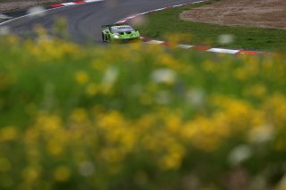 #19 - GRT - Grasser Racing Team - Mateo LLARENA - Loris CABIROU - Haytham QARAJOULI - Lamborghini Huracan GT3 EVO2 