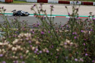 #22 - Schumacher CLRT - Dorian BOCCOLACCI - Ayhancan GUVEN - Laurin HEINRICH - Porsche 911 GT3 R (992) 