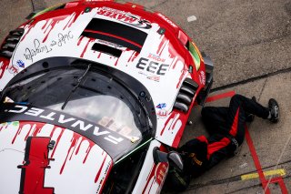 #333 - Frikadelli Racing - Klaus ABBELEN - Felipe FERNANDEZ LASER - David PEREL - Ferrari 296 GT3 