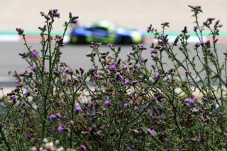 #46 - Team WRT - Raffaele MARCIELLO - Maxime MARTIN - Valentino ROSSI - BMW M4 GT3 