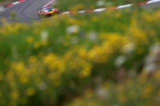 #71 - AF Corse - Francorchamps Motors - Thomas NEUBAUER - Vincent ABRIL - David VIDALES - Ferrari 296 GT3 