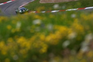#72 - Barwell Motorsport - Gabriel RINDONE - Casper STEVENSON - Patrick KUJALA - Lamborghini Huracan GT3 EVO2 
