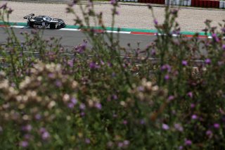 #77 - Haupt Racing Team - Arjun MAINI - Jusuf OWEGA - Michele BERETTA - Mercedes-AMG GT3 EVO 