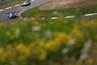 #77 - Haupt Racing Team - Arjun MAINI - Jusuf OWEGA - Michele BERETTA - Mercedes-AMG GT3 EVO 