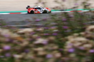 #80 - Lionspeed GP - Patrick KOLB - Bastian BUUS - Michael VERHAGEN - Porsche 911 GT3 R (992) 
