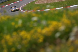 #9 - Boutsen VDS - Maximilian G�TZ - Thomas DROUET - Philip Ellis - Mercedes-AMG GT3 EVO 