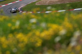 #91 - Herberth Motorsport - Ralf BOHN - Robert RENAUER - Morris SCHURING - Porsche 911 GT3 R (992) 