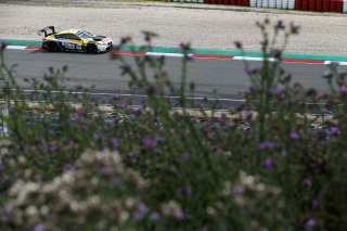 #98 - Rowe Racing - Marco WITTMANN - Nick YELLOLY - Philipp ENG - BMW M4 GT3 