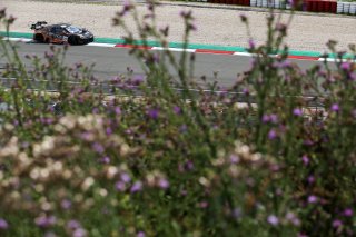 #99 - Tresor Attempto Racing - Ricardo FELLER - Christopher HAASE - Alex AKA - Audi R8 LMS GT3 EVO II 