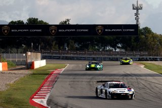 #25 – Sainteloc Racing – Paul EVRARD – Gilles MAGNUS – Audi R8 LMS GT3 EVO II 