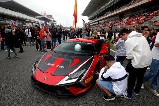 Lotus Safety Car