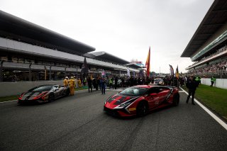 Lotus Safety Car