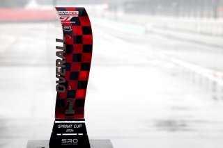 Winners trophy