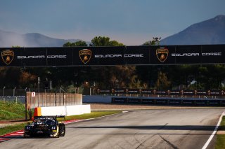 #44 - Schumacher CLRT - Stephane DENOUAL - Steven PALETTE - Porsche 911 GT3 R (992) 
