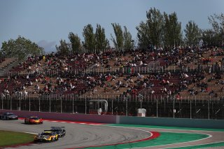 #10 - Boutsen VDS - Aurelien PANIS - Cesar GAZEAU - Mercedes-AMG GT3 EVO 