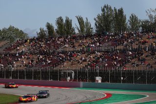 #71 – AF Corse – Eilseo DONNO – Thomas FLEMING – Ferrari 296 GT3  