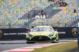 #48 – Winward Racing Team MANN-FILTER – Lucas AUER – Maro Engel – Mercedes-AMG GT3 EVO 