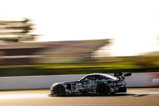 #90 – Madpanda Motorsport – Exequiel PEREZ COMPANC – Tom KALENDER - Mercedes-AMG GT3 