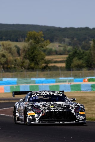 #90 – Madpanda Motorsport – Exequiel PEREZ COMPANC – Tom KALENDER - Mercedes-AMG GT3 