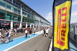 Pitwalk and autograph session