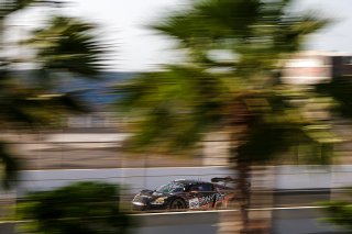 #99 - Tresor Attempto Racing - Ricardo FELLER - Christopher HAASE - Alex AKA - Audi R8 LMS GT3 EVO II 