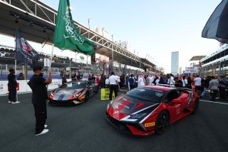 Lamborghini Safety Car and Lead Car 