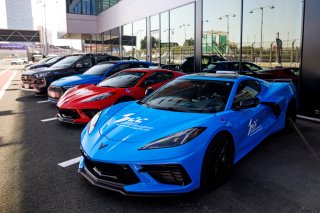 Circuit Cars