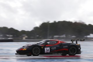 #14 - Emil Frey Racing - Ferrari 296 GT3