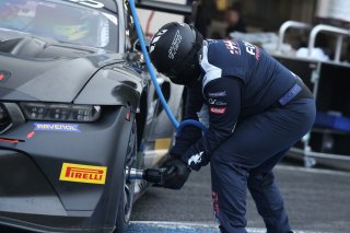 Haupt Racing Mechanic