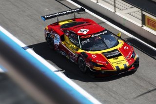 #50 - AF Corse - Francorchamps Motors - Arthur LECLERC - Eliseo DONNO - Antonio FUOCO - Ferrari 296 GT3