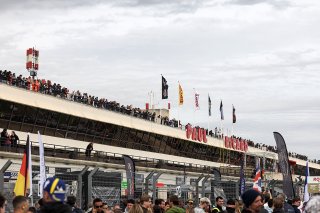 The grid before the start of the race