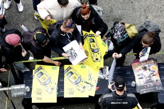 #48 - Mercedes-AMG Team MANN-FILTER - Maro ENGEL -Mercedes-AMG GT3 EVO